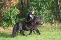 /album/fotogalerij-fotoboek/janus-1-11-3-img-8099-jpg/